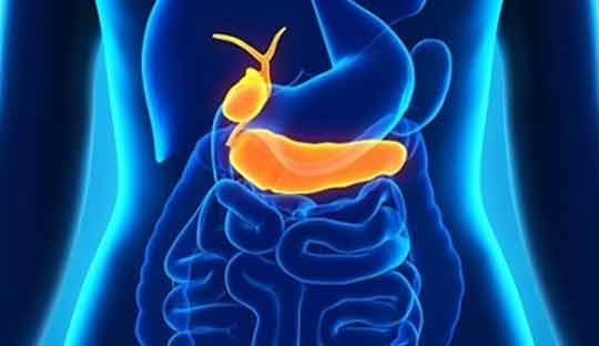 Bile-Duct-icon